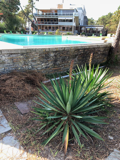 Sport & Beauty 2, Bungalow B2 - Nature, Beach & River, Esposende