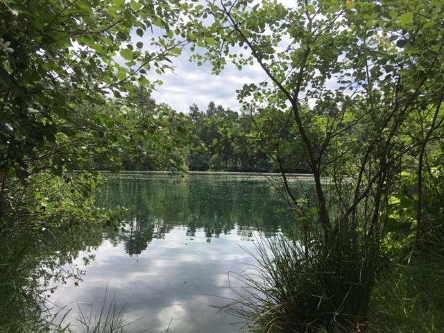 Others 5, AuxiliumWellness Get Back to Serenity, Antwerpen