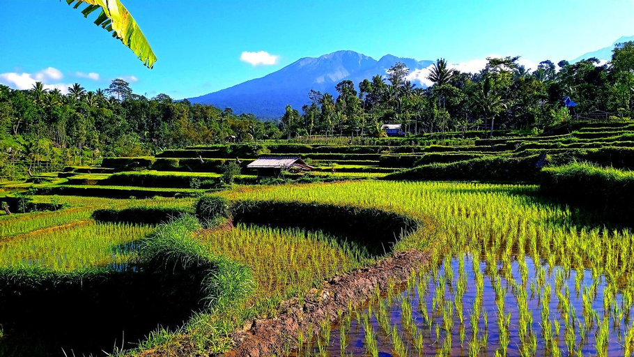 Scenery 3