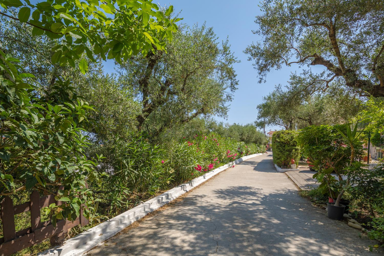 Others 3, Photographer's Apartments, Ionian Islands