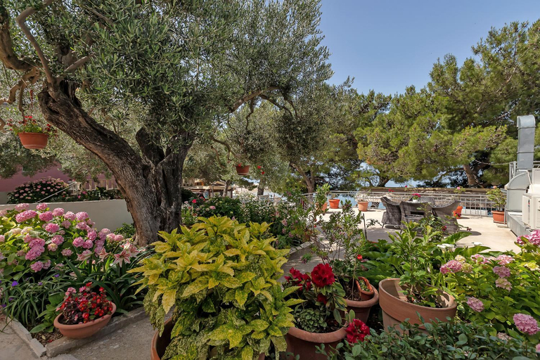 Garden, Central Beach Apartments, Tučepi