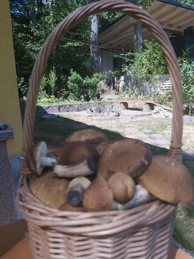 Others 2, Chata nad kupaliskom, Zvolen