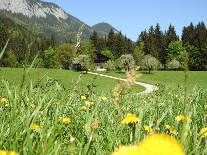 Others 5, Bauernhof Hintenberg, Kitzbühel