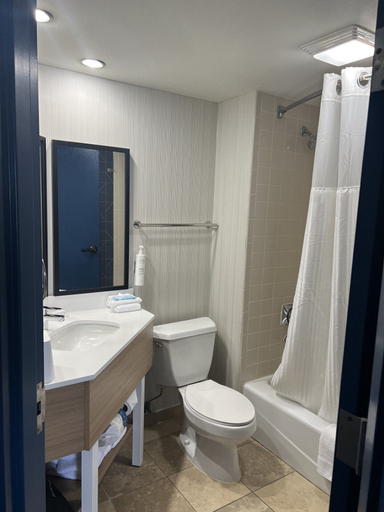 Bathroom 4, Spark by Hilton Green Bay, Brown