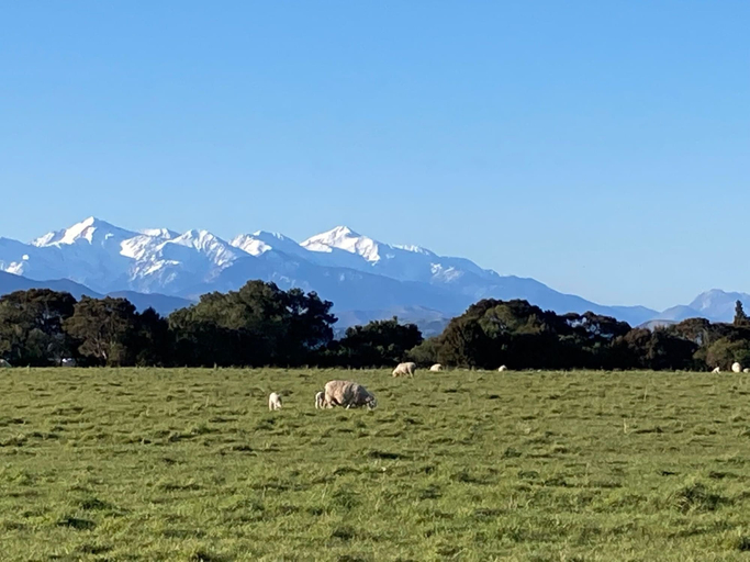 Others 4, Lansdowne Farm, Hurunui