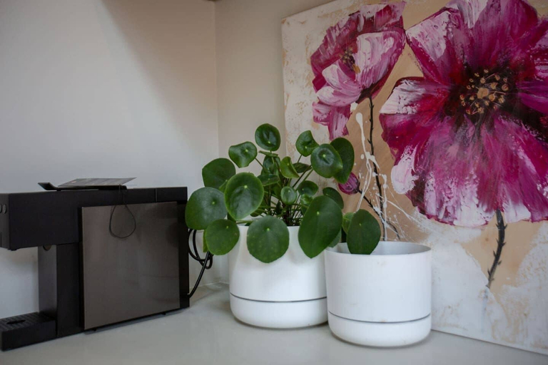 Others 4, Comfy Holiday House With Pool@rosanna, Melbourne
