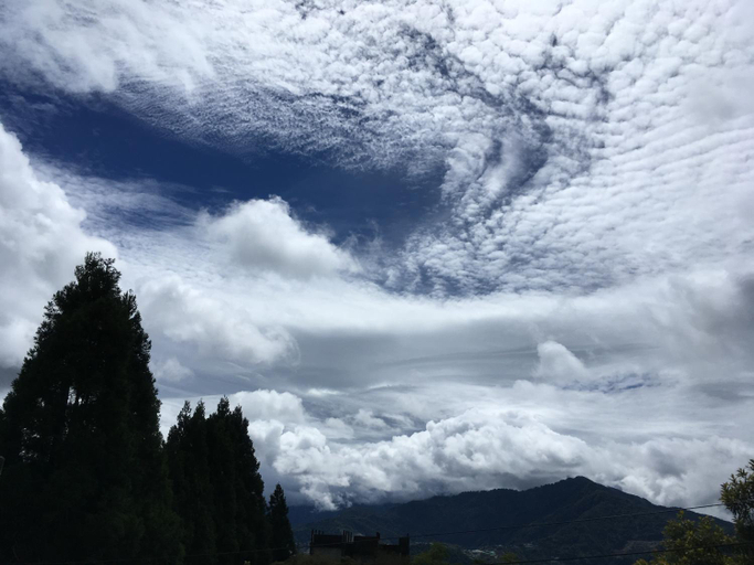 4, 杏香紅民宿, Nantou