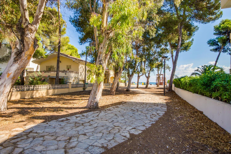 Exterior & Views 1, Ideal Property Mallorca - Villa Rosita 12, Baleares