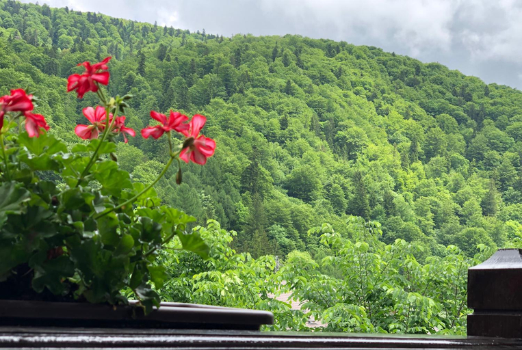 Others 4, Chez Marcel Sinaia, Sinaia