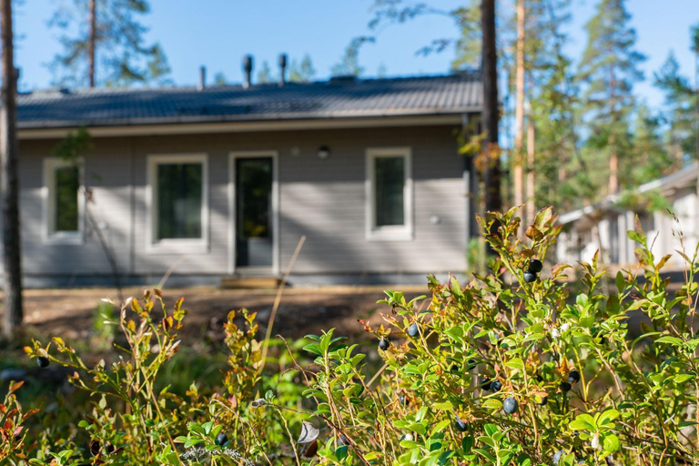 Exterior view 3, Saimaa LIGHT, South Karelia