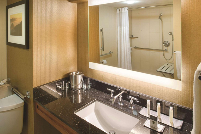 Bathroom 4, DoubleTree by Hilton Seattle-Airport, SeaTac