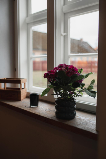 Others 4, Raina ielas apartamenti R5, Kuldiga