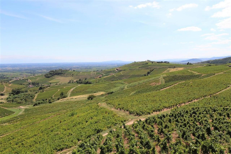 2, Tiny house au cœur du vignoble beaujolais, Rhône