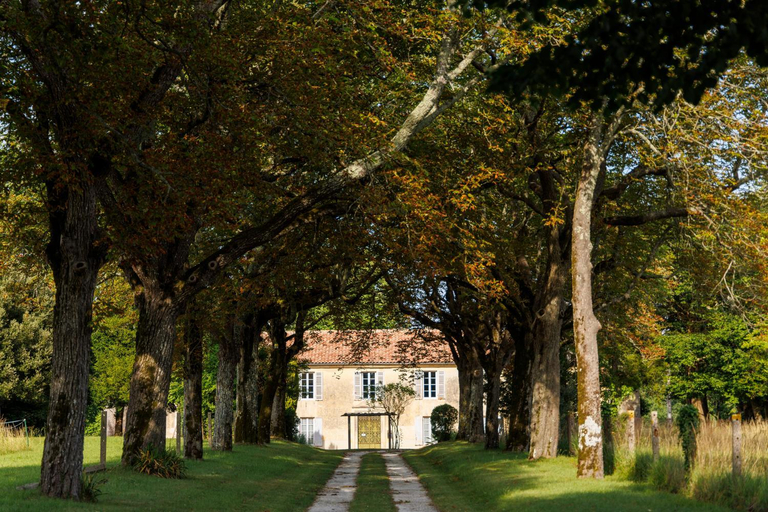 Others 4, Domaine de Seugnac, Charente-Maritime