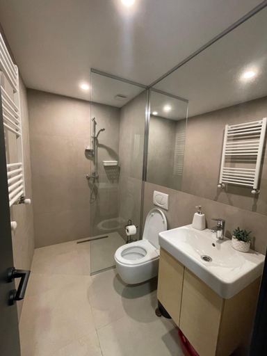Bathroom, N 406 Kokhta Mitarbi / N 406 კოხტა მიტარბი, Borjomi