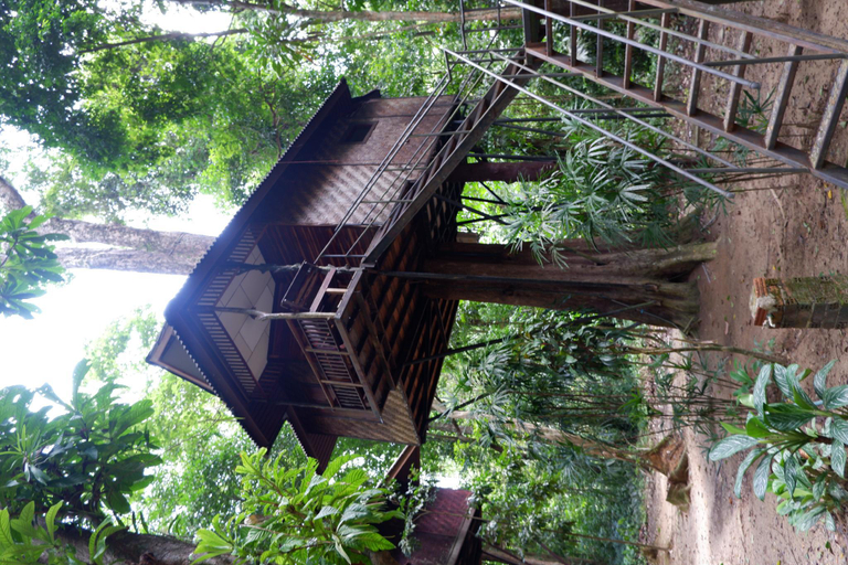 Scenery 6