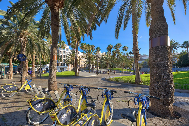 Others 5, Plaza de La Feria Premium Apartments, Las Palmas