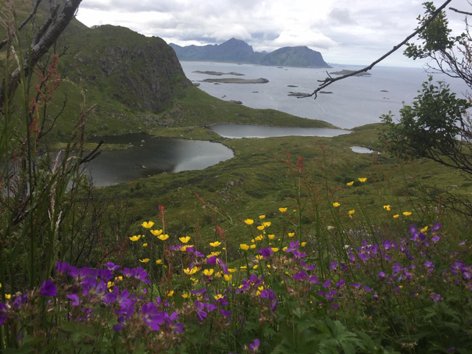 Others 3, NyksundRom, Nyksund, Øksnes