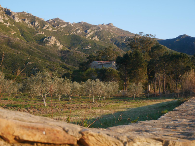 Others 4, MULINU BIANCU, Haute-Corse