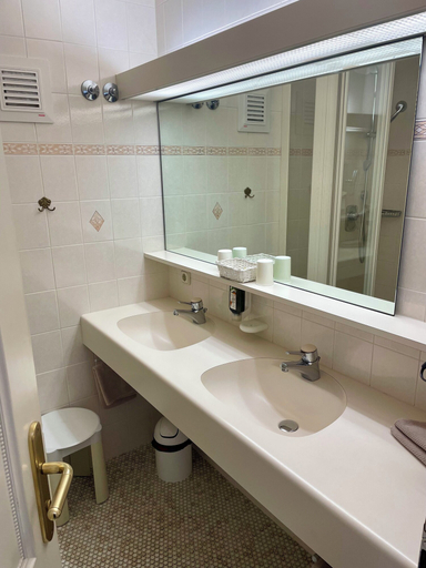 Bathroom 4, Almhof Rupp, Bregenz