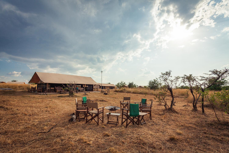 Others 3, Gnu Mara River Camp, Serengeti