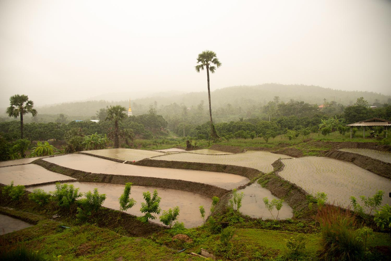 Scenery 13
