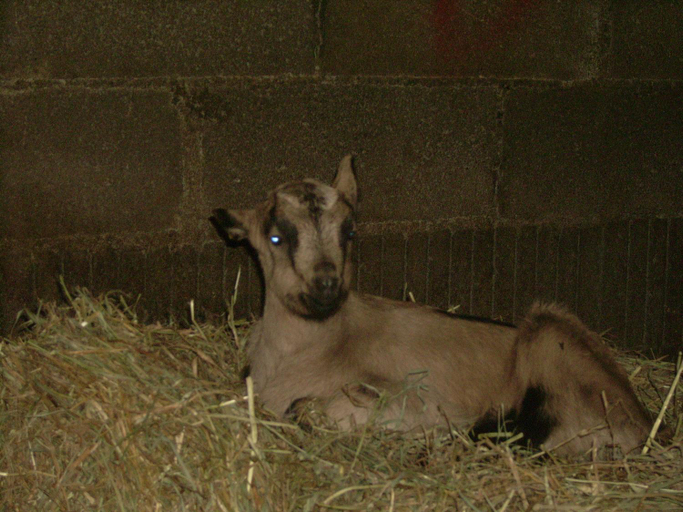 Others 2, Studio nature a la ferme, Lozère