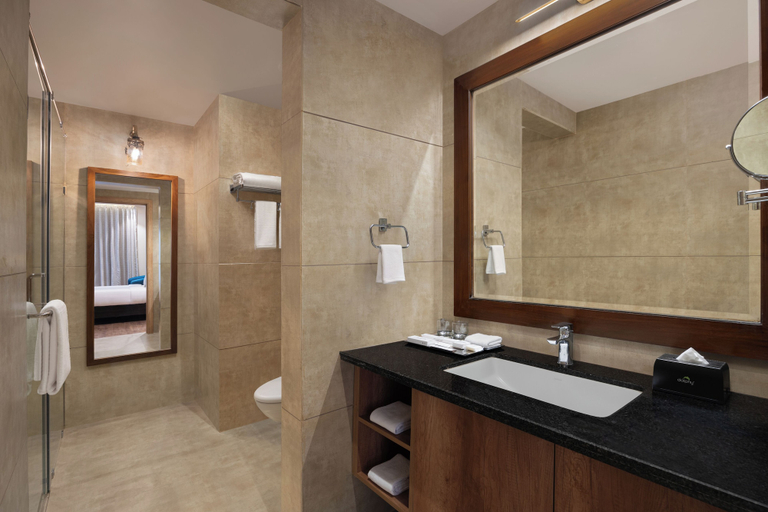 Bathroom 4, Essentia Udaipur Luxury Resort & Spa, Udaipur