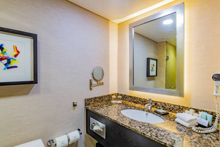 Bathroom 4, Hotel Lucerna Hermosillo, Hermosillo