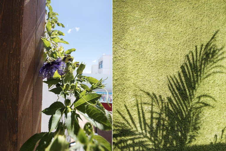 Garden 3, Villa Abeto, Las Palmas