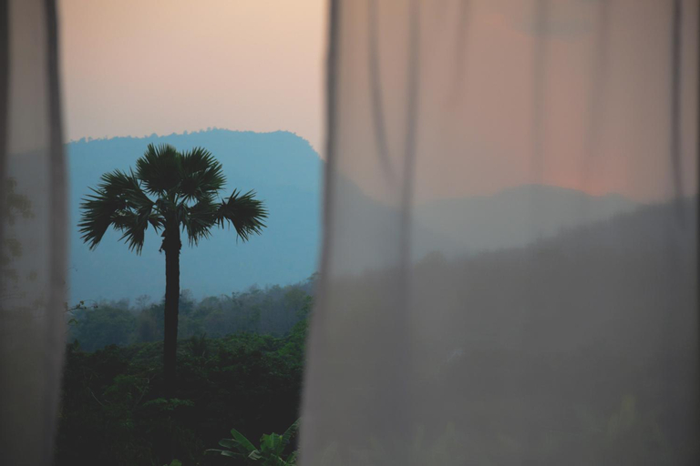 Scenery 12