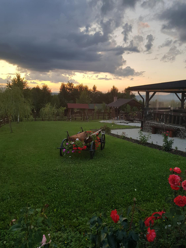 Others 4, FLOARE DE COLT, Rasnov