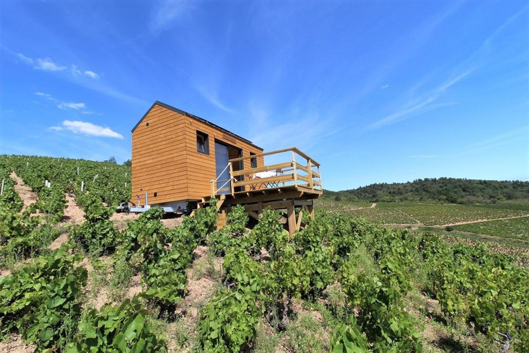 Tiny house au cœur du vignoble beaujolais, Rhône