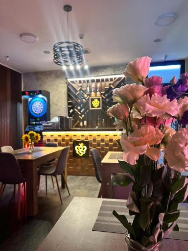 Food & Drinks 5, Luxury Apartments 88, Kovin