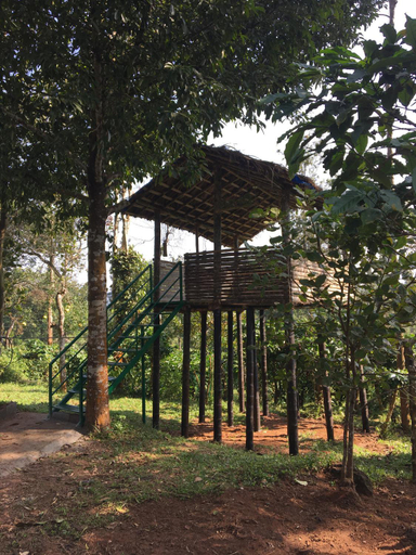 Food & Drinks, LAZY DAYS Wayanad, The Nilgiris