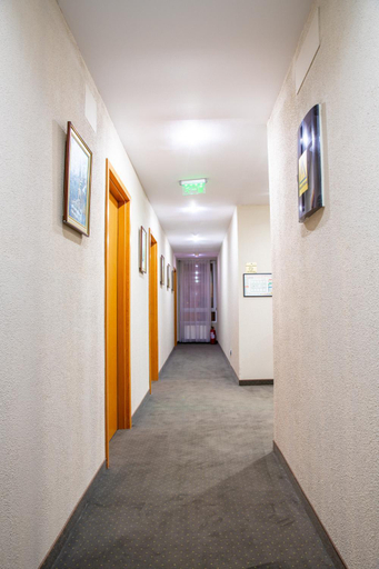 Public Area 3, Hotel Carpathia, Sinaia