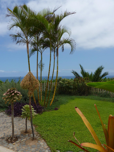 3, El Susurro Ecoliving_VILLA PARDELA, Santa Cruz de Tenerife