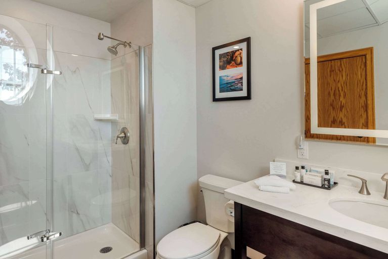 Bathroom 4, The Courthouse Hotel, an Ascend Collection Hotel, Thunder Bay