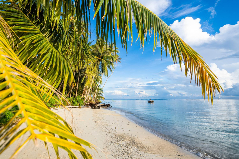 Others 4, Tailana Island Pulau Banyak, Aceh Singkil