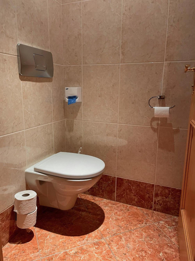 Bathroom 4, Alpengasthof Bacher, Tamsweg