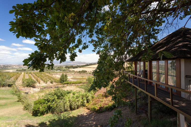 Others 5, Mountain Manor, Cape Winelands
