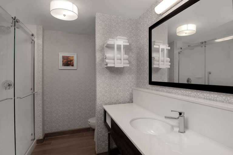 Bathroom 4, Hampton Inn & Suites Billings West I-90, Yellowstone