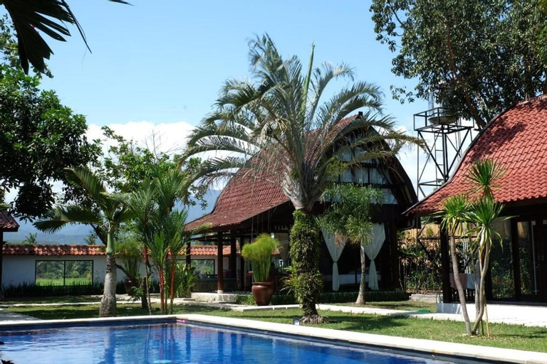 Swimming Pool 8