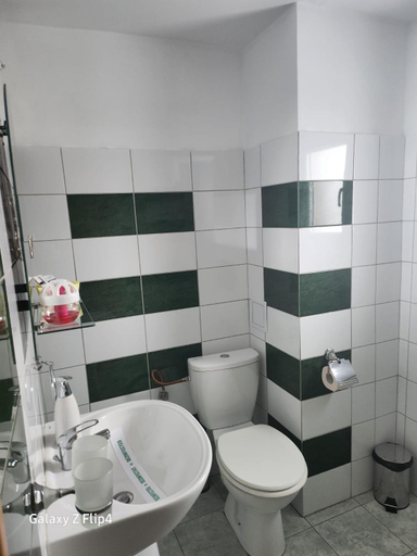 Bathroom 3, Pensiunea Mara ***, Borsa