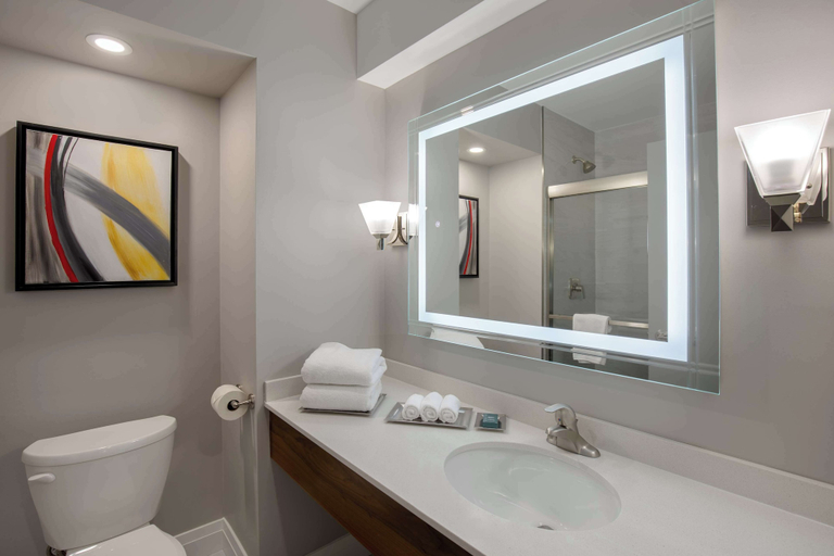 Bathroom 4, DoubleTree by Hilton Hotel London Ontario, Middlesex