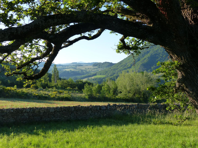Others 4, L ' AMIRADOU, Drôme