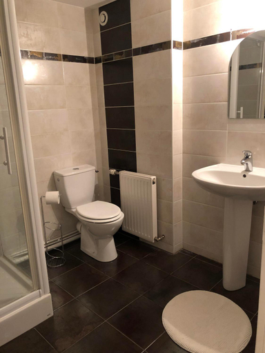 Bathroom, chez Suzanne, Ardennes