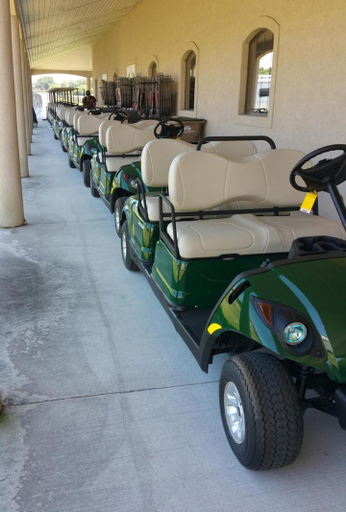 Others 5, The Grand Oaks Resort, Lake