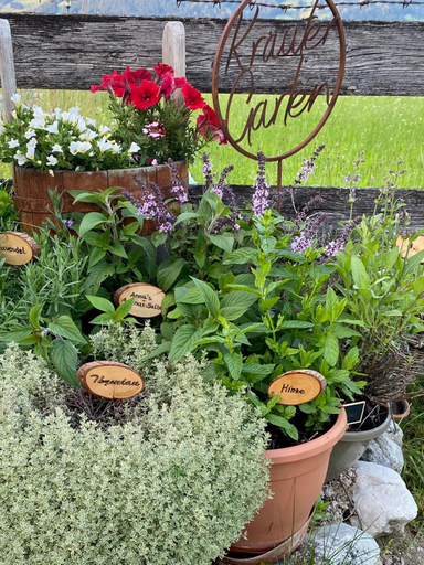 Garden 2, Aignerhof, Sankt Johann im Pongau