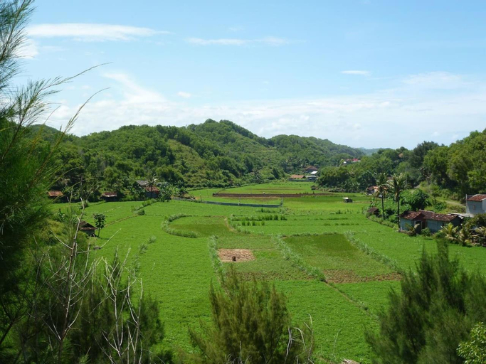 Scenery 17